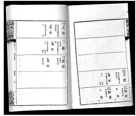 [邹]邹氏宗谱_24卷首2卷 (湖北) 邹氏家谱_二十.pdf