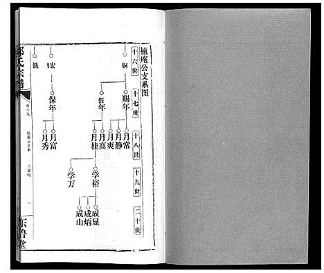 [邹]邹氏宗谱_24卷首2卷 (湖北) 邹氏家谱_二十六.pdf