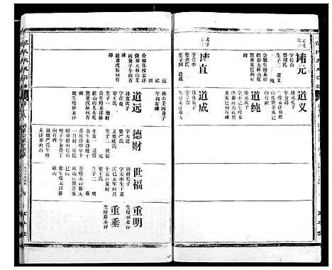 [范]范氏宗谱 (湖北) 范氏家谱_二十.pdf