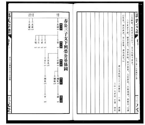 [冯]冯京后裔大成宗谱 (湖北) 冯京后裔大成家谱_十二.pdf