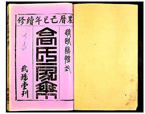 [高]高氏宗谱 (湖北) 高氏家谱_十九.pdf