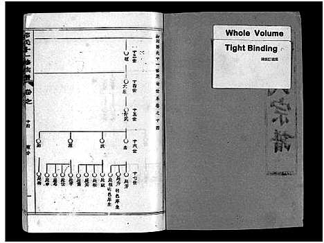 [郭]汾阳郭氏十一修族谱_世系16卷_世传60卷首7卷-郭氏宗谱-郭氏十一修族谱_汾阳郭氏十一修族谱 (湖北) 汾阳郭氏十一修家谱_二十五.pdf