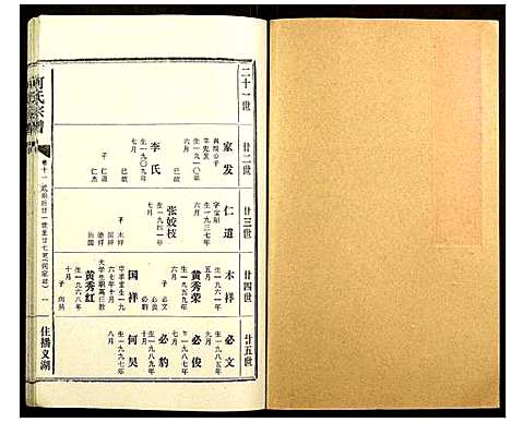 [何]何氏宗谱 (湖北) 何氏家谱_十一.pdf