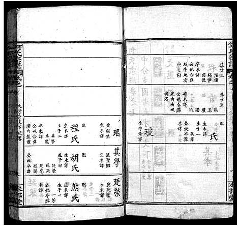 [何]何氏宗谱_14卷首2卷_末1卷 (湖北) 何氏家谱_九.pdf