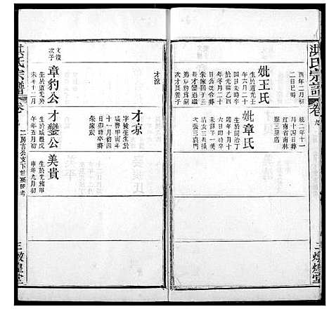 [洪]洪氏宗谱 (湖北) 洪氏家谱_十一.pdf