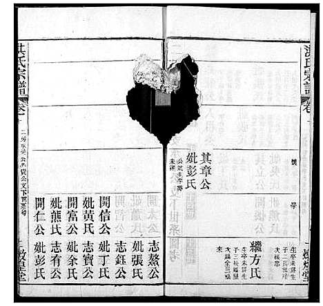 [洪]洪氏宗谱 (湖北) 洪氏家谱_十五.pdf