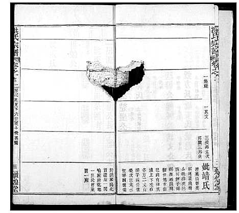 [洪]洪氏宗谱 (湖北) 洪氏家谱_十六.pdf