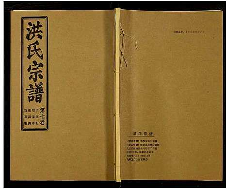 [洪]洪氏宗谱_33卷-洪氏宗谱 (湖北) 洪氏家谱_四十六.pdf