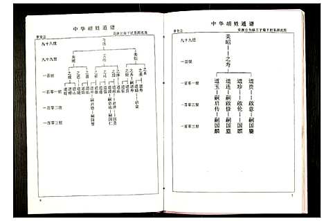 [胡]世界胡氏通谱 (湖北) 世界胡氏通谱_十.pdf