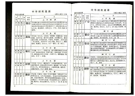 [胡]世界胡氏通谱 (湖北) 世界胡氏通谱_十七.pdf