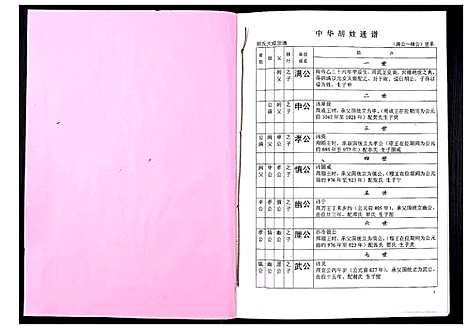 [胡]中华胡姓通谱 (湖北) 中华胡姓通谱_十九.pdf