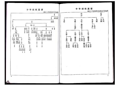 [胡]中华胡姓通谱 (湖北) 中华胡姓通谱_二十一.pdf