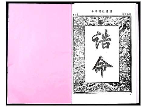 [胡]中华胡姓通谱 (湖北) 中华胡姓通谱_二十二.pdf