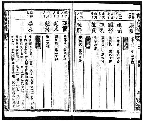 [胡]胡氏宗谱_21卷-胡氏合修宗谱 (湖北) 胡氏家谱_二十一.pdf