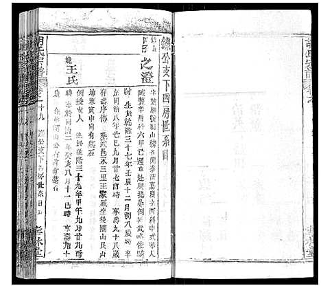 [胡]胡氏宗谱_28卷首5卷 (湖北) 胡氏家谱_十九.pdf