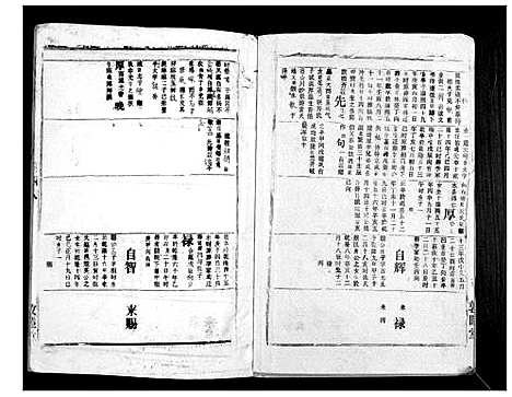 [胡]胡氏宗谱_69卷 (湖北) 胡氏家谱_四十五.pdf