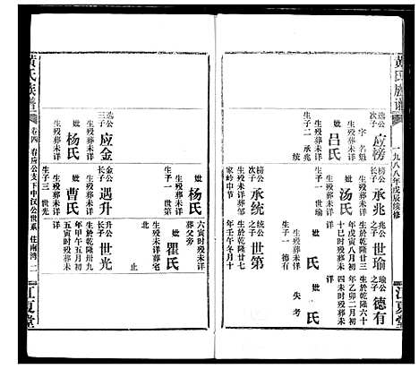 [黄]黄氏族谱 (湖北) 黄氏家谱_四十一.pdf