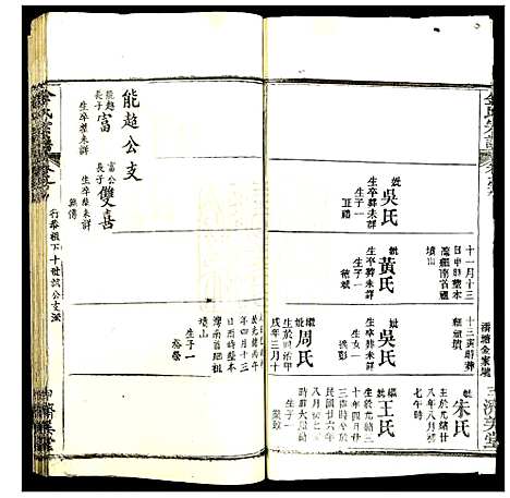 [金]金氏宗谱 (湖北) 金氏家谱_十.pdf