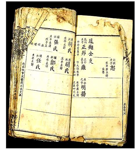 [金]金氏宗谱 (湖北) 金氏家谱_十七.pdf