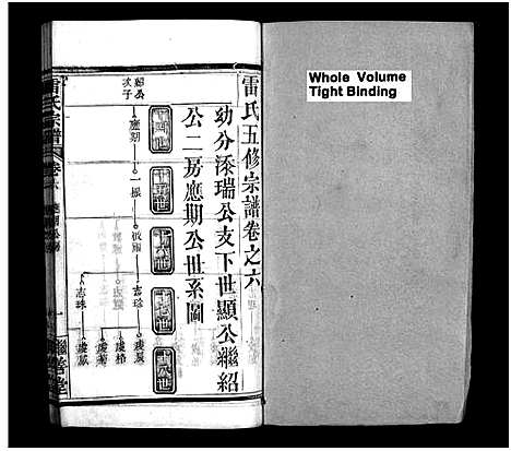 [雷]雷氏宗谱_10卷_及卷首-雷氏五修宗谱-雷氏宗谱 (湖北) 雷氏家谱_九.pdf