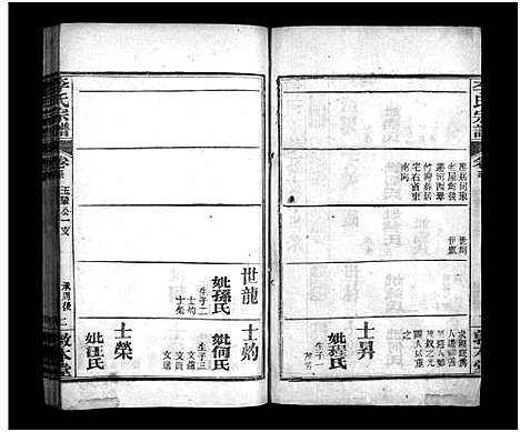 [李]李氏宗谱_6卷首2卷-李氏宗谱_Li Shi (湖北) 李氏家谱_九.pdf