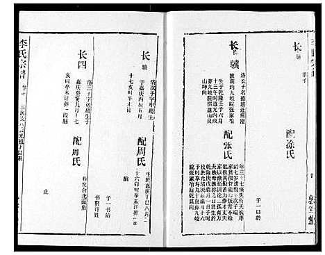 [李]李氏宗谱 (湖北) 李氏家谱_十一.pdf