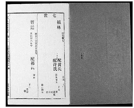 [李]李氏宗谱 (湖北) 李氏家谱_十二.pdf