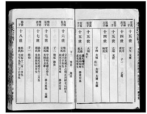 [李]李氏宗谱 (湖北) 李氏家谱_三.pdf