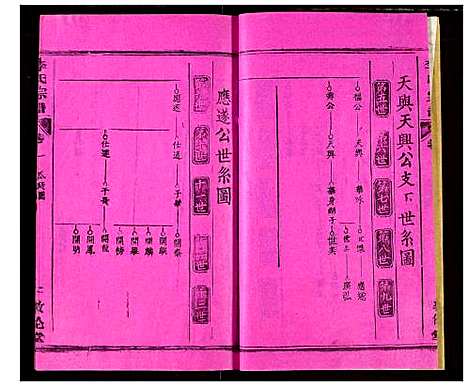 [李]李氏宗谱 (湖北) 李氏家谱_七.pdf