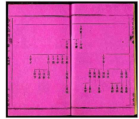 [李]李氏宗谱 (湖北) 李氏家谱_十.pdf