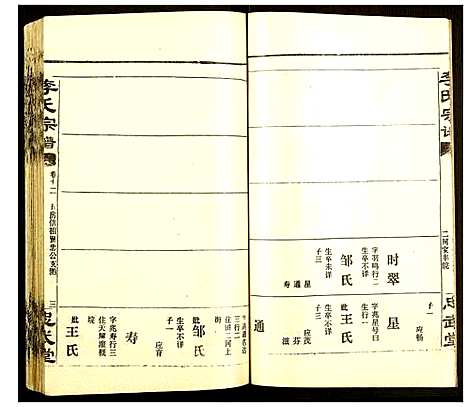 [李]李氏宗谱 (湖北) 李氏家谱_十二.pdf