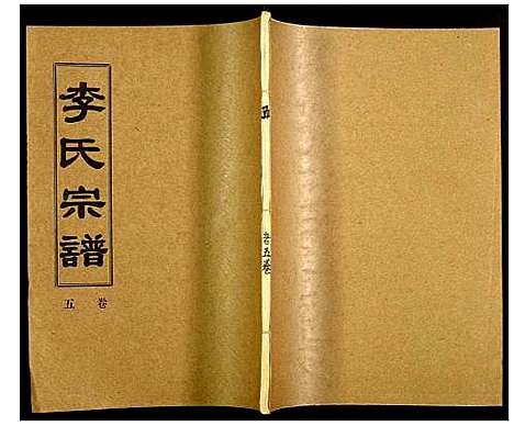 [李]李氏宗谱 (湖北) 李氏家谱_六.pdf