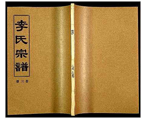 [李]李氏宗谱 (湖北) 李氏家谱_十三.pdf