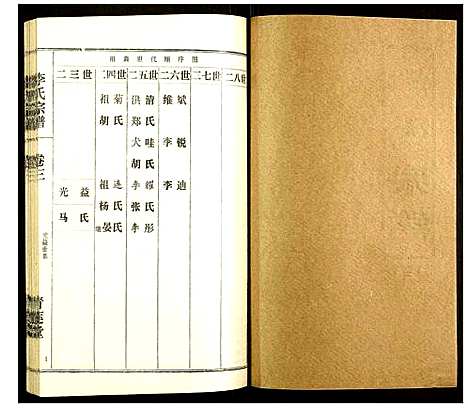 [李]李氏宗谱 (湖北) 李氏家谱_十三.pdf