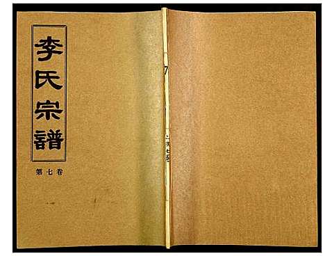 [李]李氏宗谱 (湖北) 李氏家谱_十七.pdf