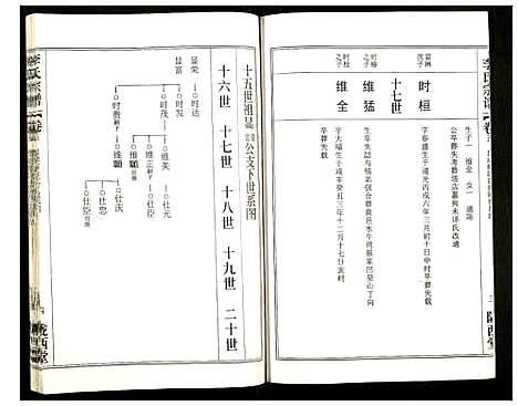 [李]李氏宗谱 (湖北) 李氏家谱_八.pdf