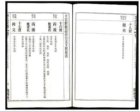 [李]李氏宗谱 (湖北) 李氏家谱_十一.pdf