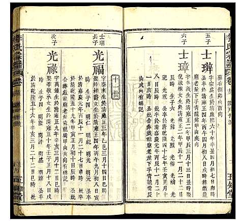 [李]李氏宗谱 (湖北) 李氏家谱_八.pdf