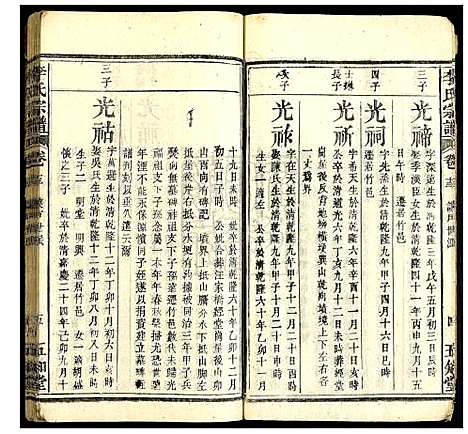 [李]李氏宗谱 (湖北) 李氏家谱_八.pdf