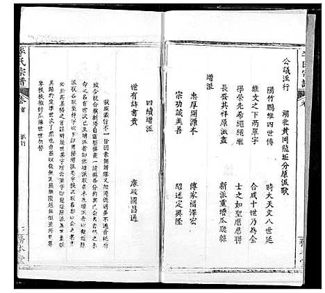 [李]李氏宗谱 (湖北) 李氏家谱_十二.pdf