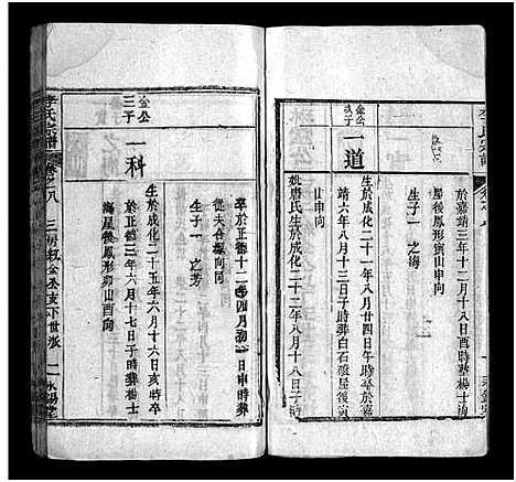 [李]李氏宗谱_10卷首1卷 (湖北) 李氏家谱_九.pdf