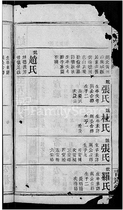 [李]李氏宗谱_13卷首1卷 (湖北) 李氏家谱_十.pdf