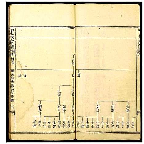 [李]李氏家谱 (湖北) 李氏家谱_二.pdf