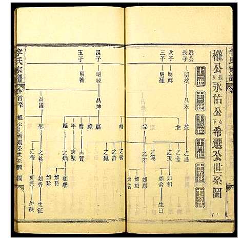 [李]李氏家谱 (湖北) 李氏家谱_二.pdf