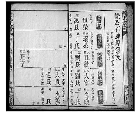 [李]李氏族谱 (湖北) 李氏家谱_八.pdf