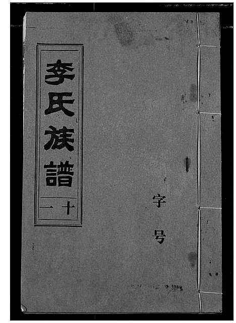 [李]李氏族谱 (湖北) 李氏家谱_十.pdf