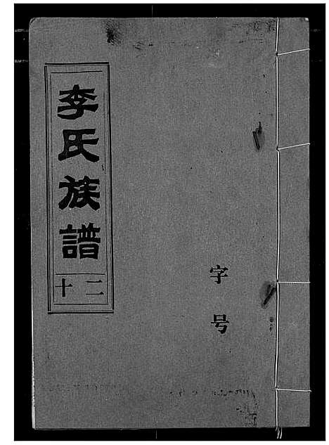 [李]李氏族谱 (湖北) 李氏家谱_十一.pdf