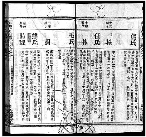 [李]李氏族谱_22卷首6卷 (湖北) 李氏家谱_九.pdf