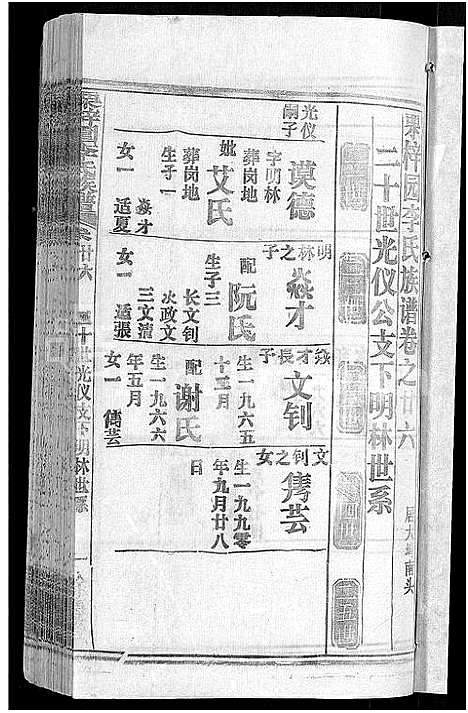 [李]李氏族谱_30卷首2卷-栗梓园李氏族谱 (湖北) 李氏家谱_二十八.pdf