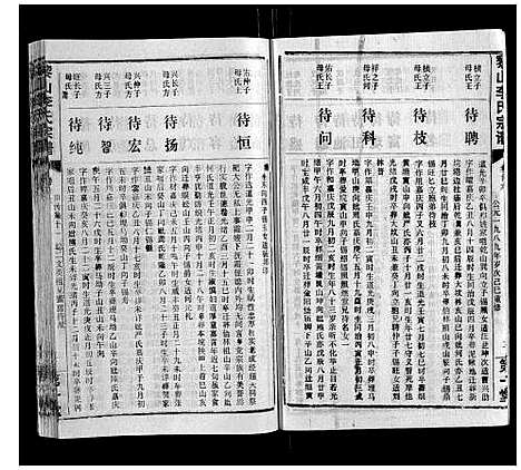 [李]黎山李氏宗谱 (湖北) 黎山李氏家谱_十四.pdf